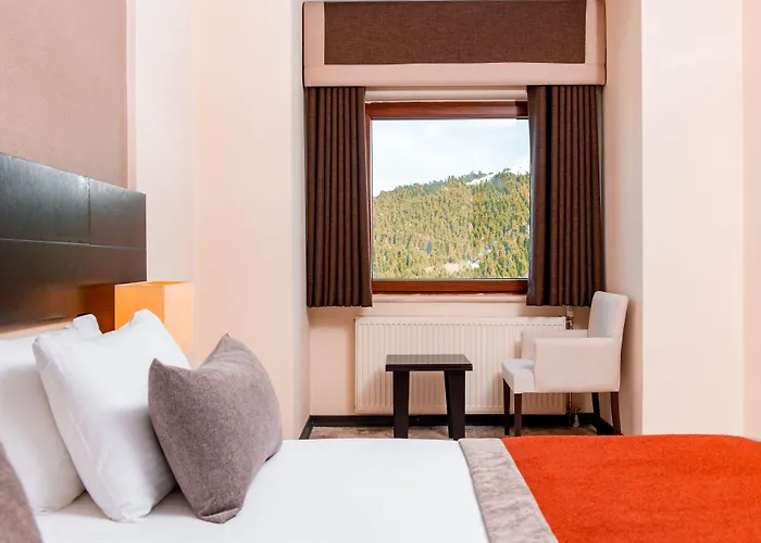 Monte Baia Uludag Hotel 3*